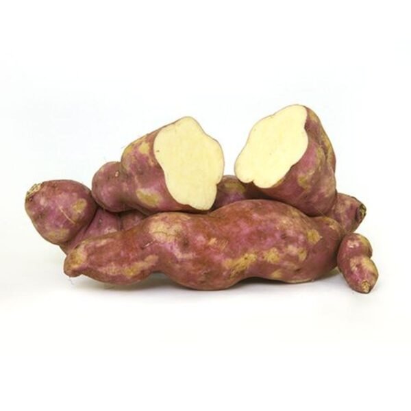 Sweet Potato